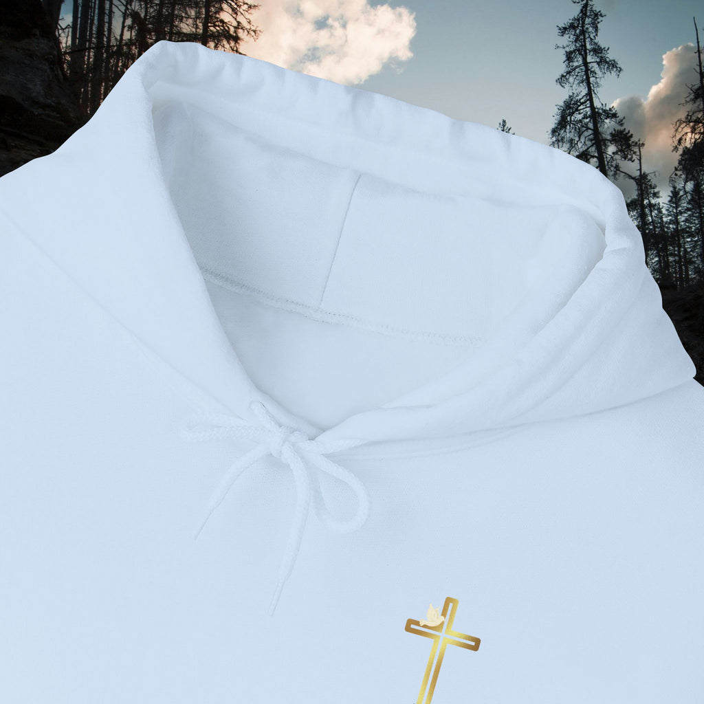 Iron Faith Co. Mountain Logo Pullover