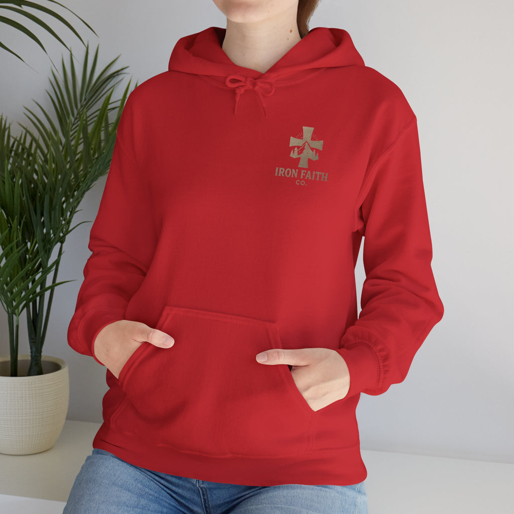 Love One Another Hoodie - IronFaithCo